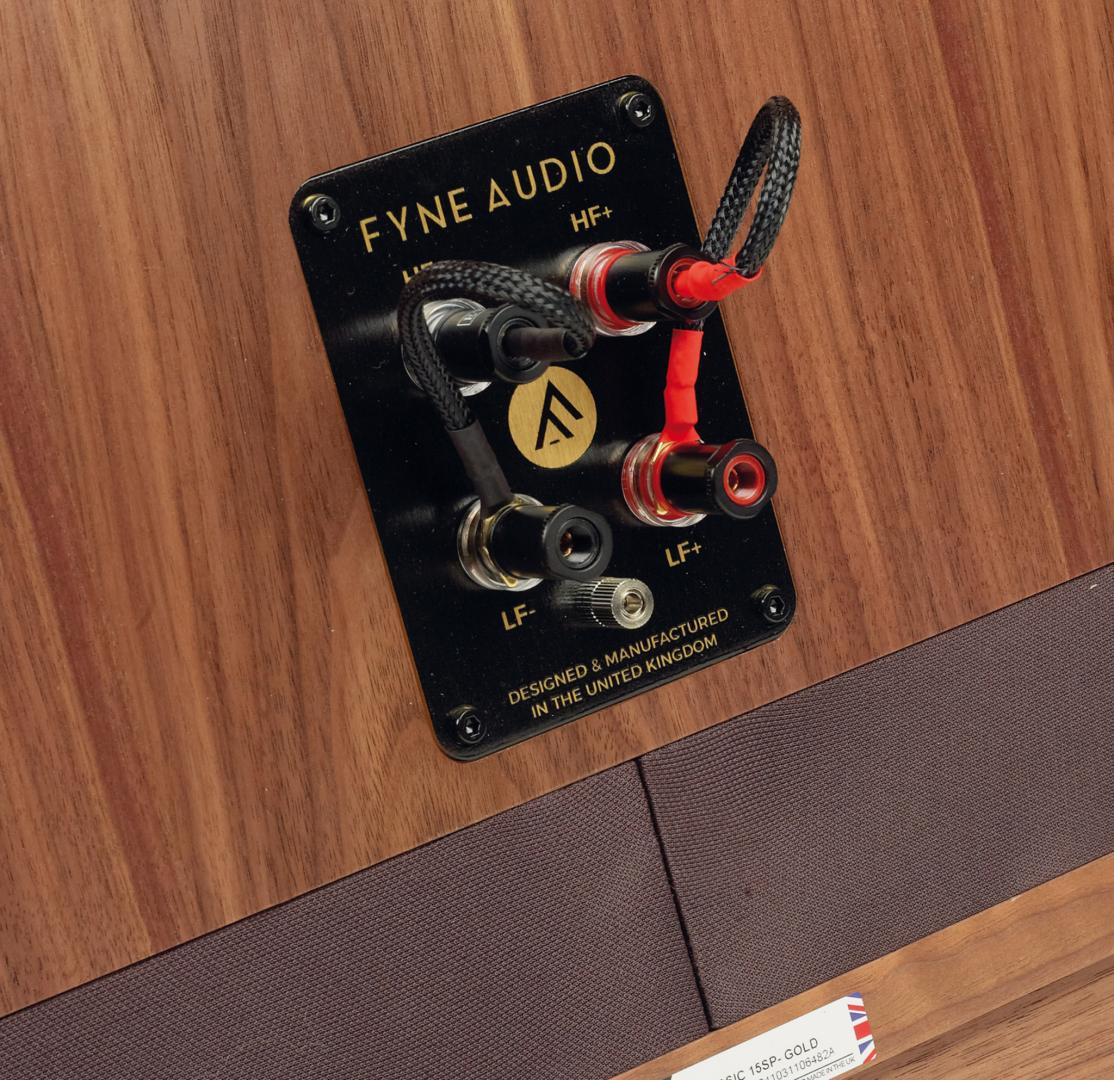_fyne_audio_vintage_classic_gold_xv_sp_bild_1746607415.jpg