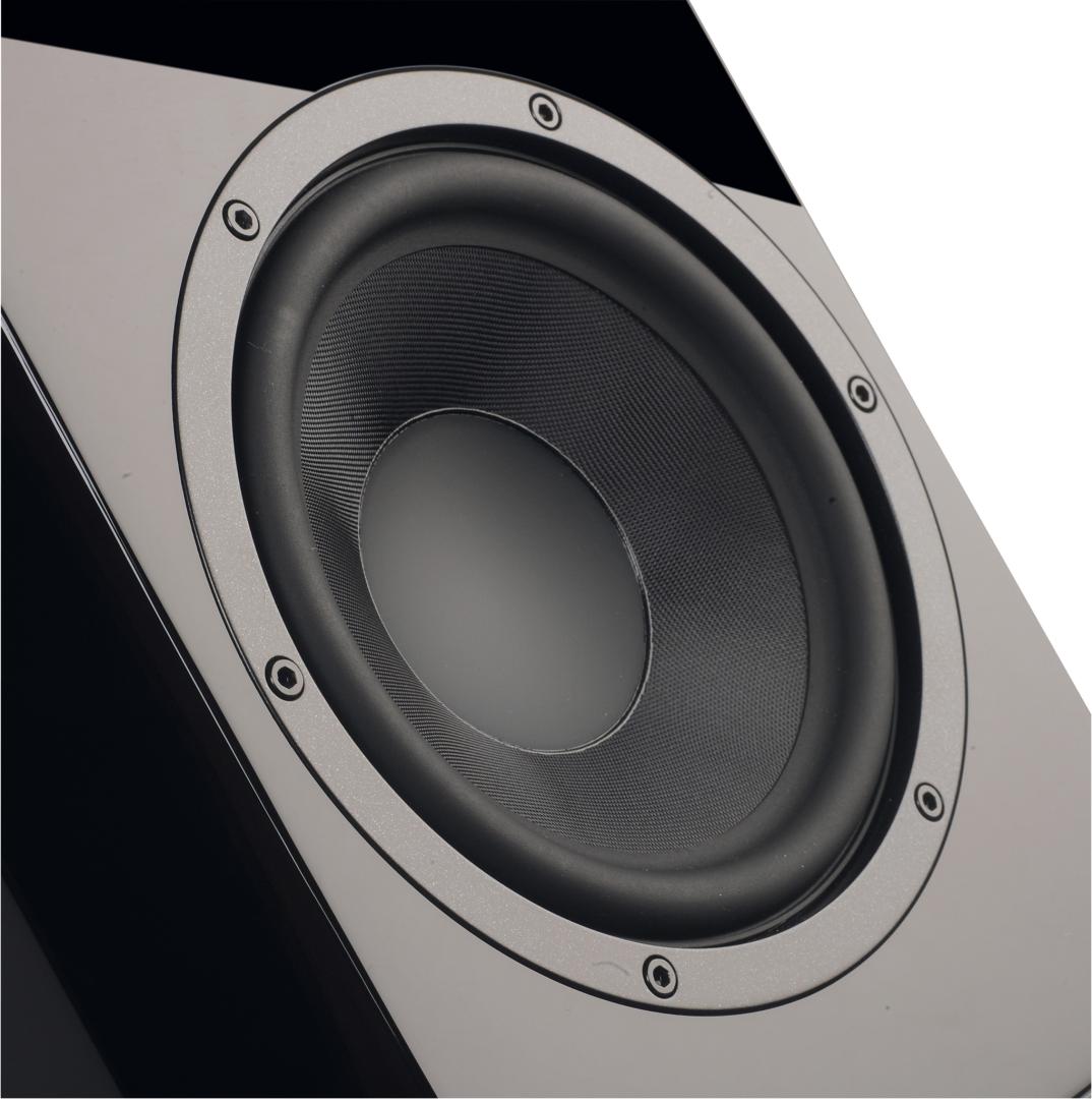 _sv_sound_ultra_evolution_bookshelf_bild_1737538563.jpg