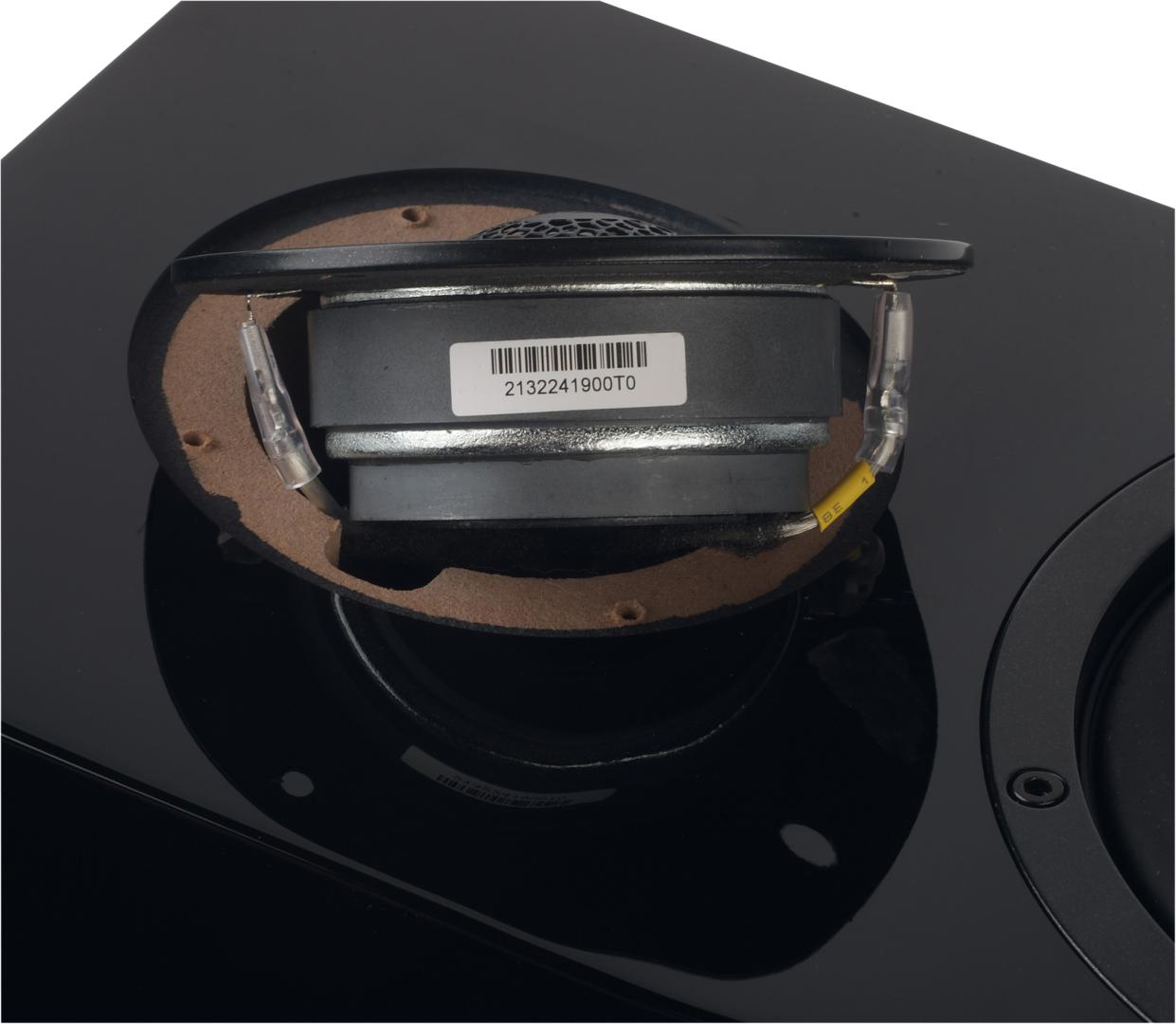 _sv_sound_ultra_evolution_bookshelf_bild_1737538637.jpg