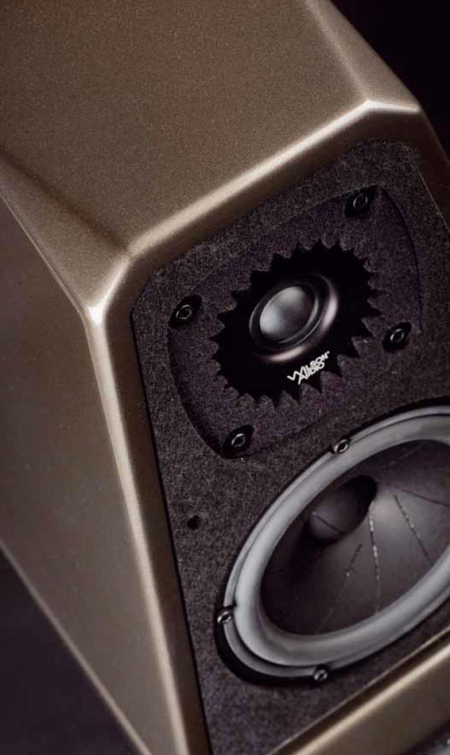 _wilson_audio_the_watt_puppy_bild_1733918018.jpg